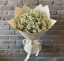 Букет цветов из:  Ромашки в Горки-8