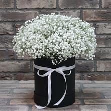 Цветочная композиция из Гипсофила в шляпной коробке в Горки-8